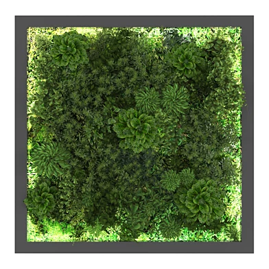 Vertical garden166