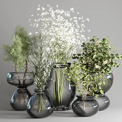 collection Plants Bouquet Indoor glass vase 04