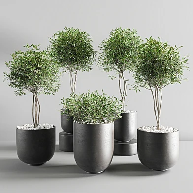 Plants_Set_07