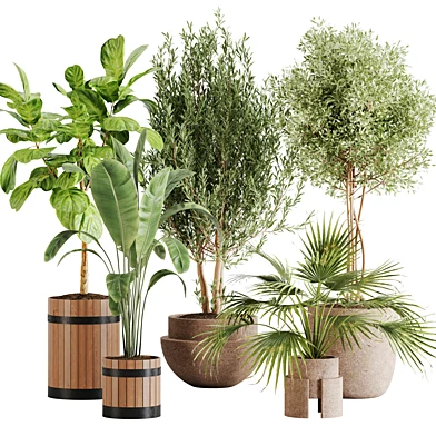 indoor plant Set 11