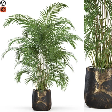 Plants collection 630