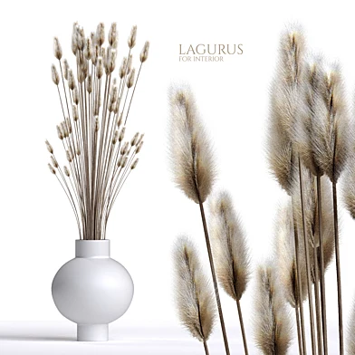 Lagurus