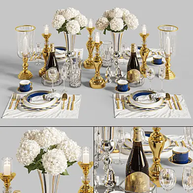 Dinner Table Set 03