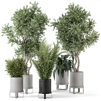 Indoor Plants in Ferm Living Bau Pot Large - Set 480