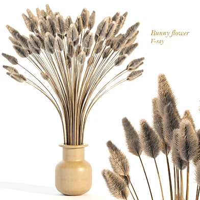 Dry Bunny flower 005