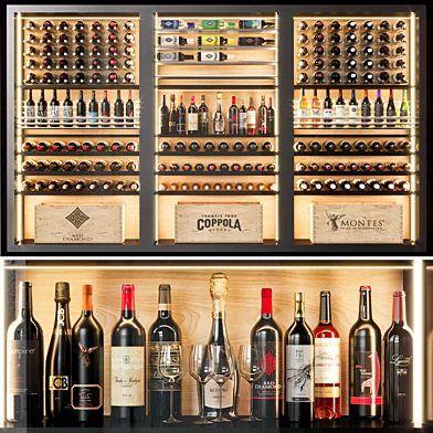 wine shelfs 06