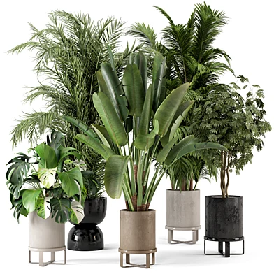 Indoor Plants in Ferm Living Bau Pot Large - Set 493