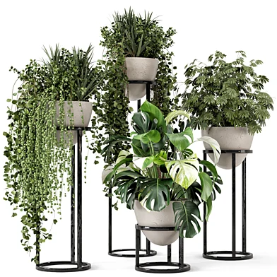 Indoor Plants in rusty Concrete Pot on Metal Shelf  - Set 495