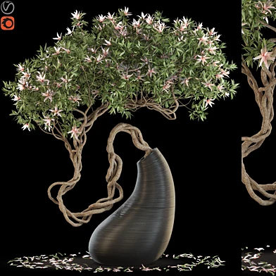 Plants collection 643