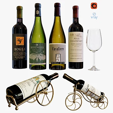 wine bottle set 13