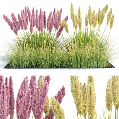 outdoor plants collection vol 80