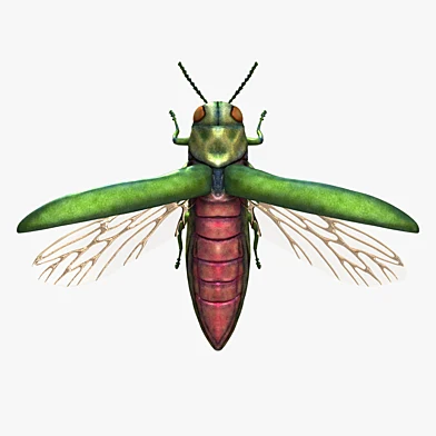 Жук Изумрудная златка (Emerald Ash Borer)