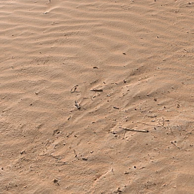PBR Sand Beach 07