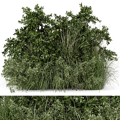 Outdoor Plants Bush -Bush Set 595
