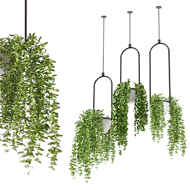 Indoor Plants Collection - Set 317