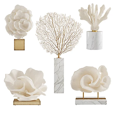 Coral Set 5