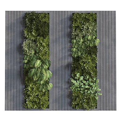 interior vertical plant set 305