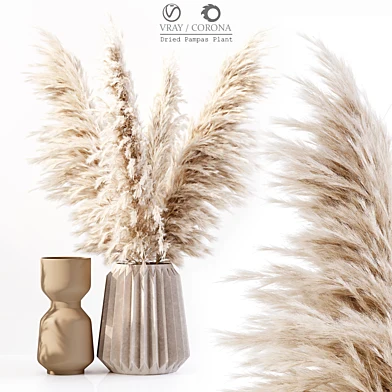 Dried Pampas Plant