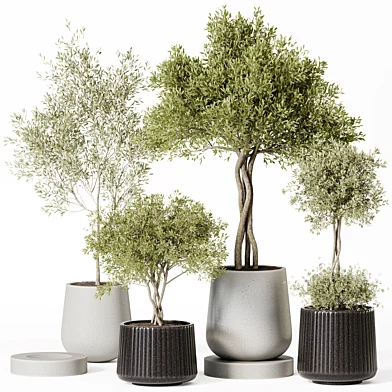 Indoor Plants Set 019