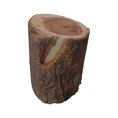 trunk 65