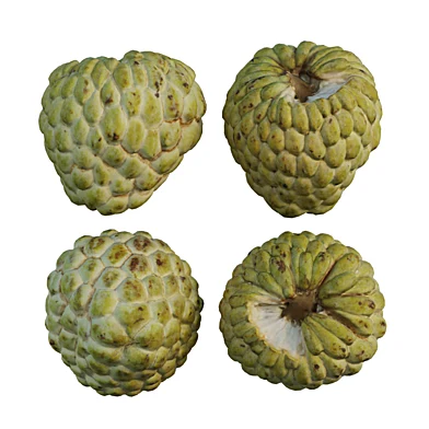 Annona squamosa 05