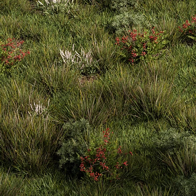 Nature Meadow - Grass Set 17