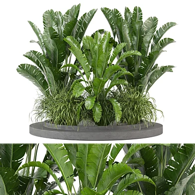 Outdoor Plants Collection - Set 516