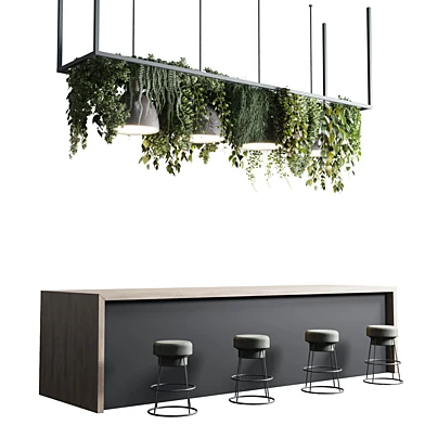 Coffee shop reception, Restaurant counter by hanging plant - 04