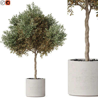 Plants collection 808