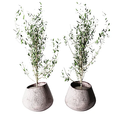 Interior plant 05