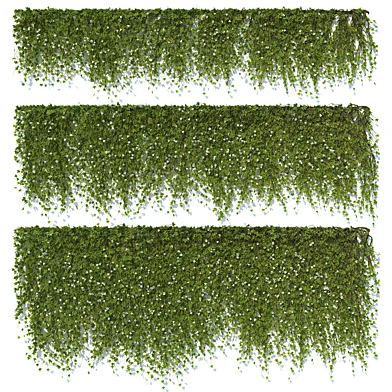 Ivy Wall 17