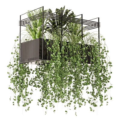 indoor hanging plants in metal box-set 565