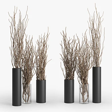Dry Branch