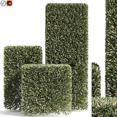 Plants collection 858