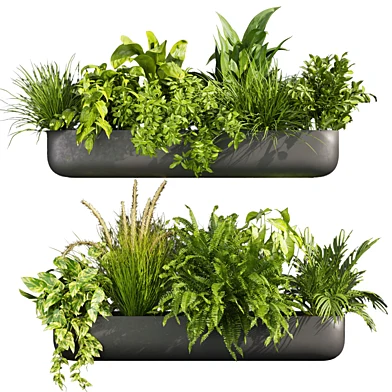 Collection plant vol 417 - indoor - fern - banana - balcony