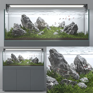 Aquascape aquarium Iwagumi