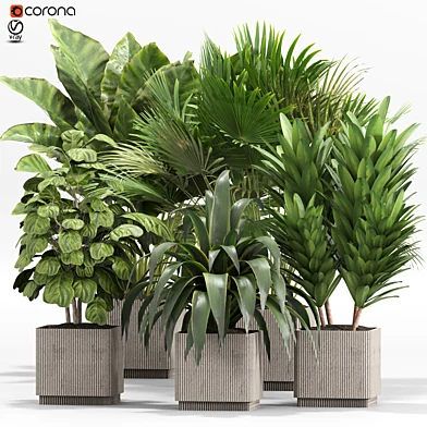 indoor plants set 016