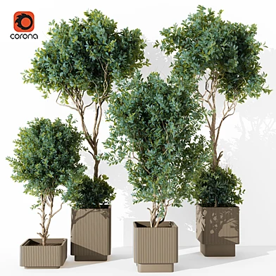 indoor Plant 238