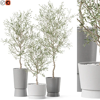 Plants collection 891