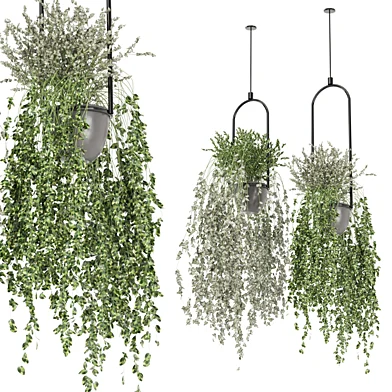 indoor hanging plants in metal box_set 755