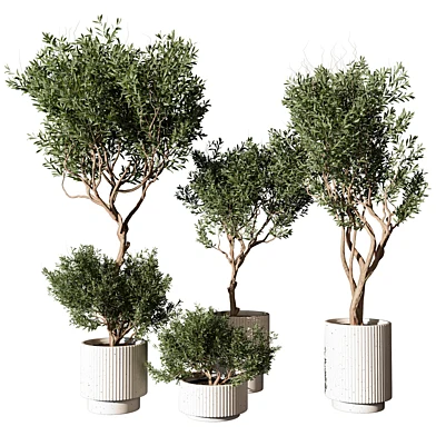 Outdoor Plant 216