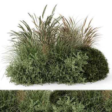Outdoor Plants Bush Collection  -Bush Set 1379
