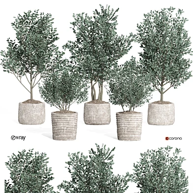 indoor plant set011 collection
