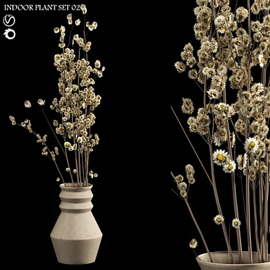 Indoor Plant Set 02