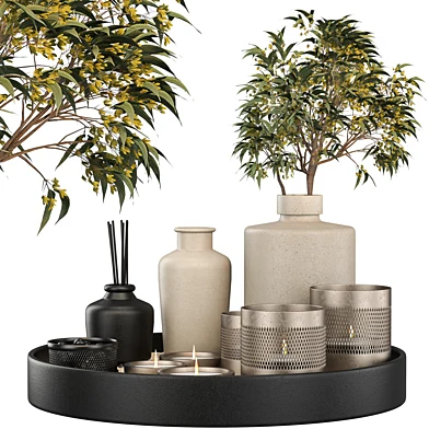 DECORATION SET 05