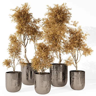 indoor Plant 283