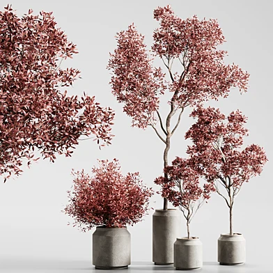 indoor plant set 13