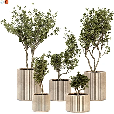 Indoor plants 02