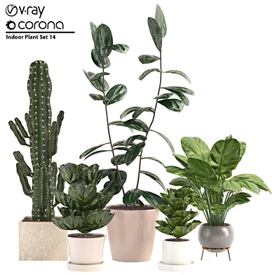Indoor Plant Set 14