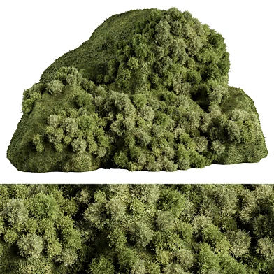 Ivy On Stones 03